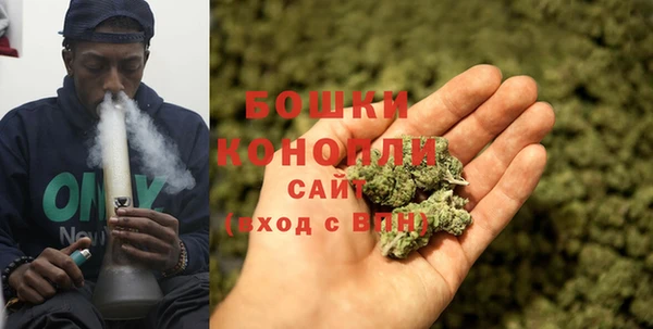 гидропоника Горно-Алтайск