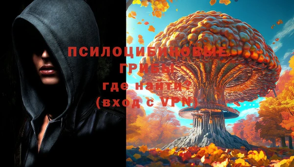 jwh Горнозаводск