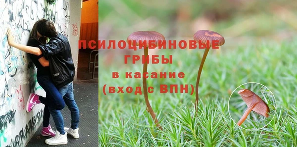 мяу мяу мука Горняк