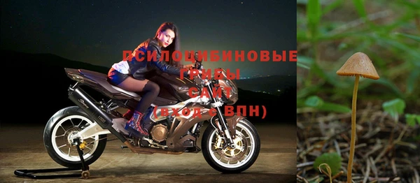 гидропоника Горно-Алтайск