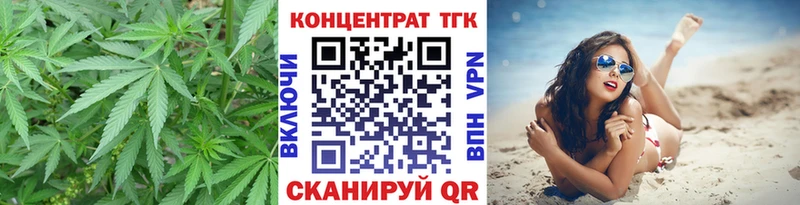 дарнет шоп Рубцовск ТГК Wax