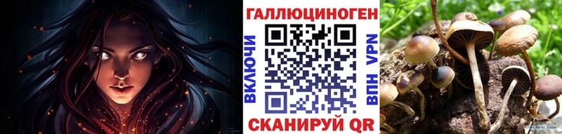 Псилоцибиновые грибы Psilocybine cubensis  Рубцовск 